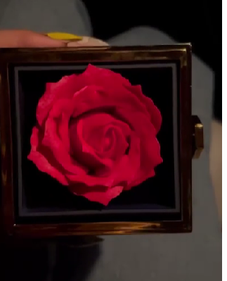 Rose Necklace Gift Box