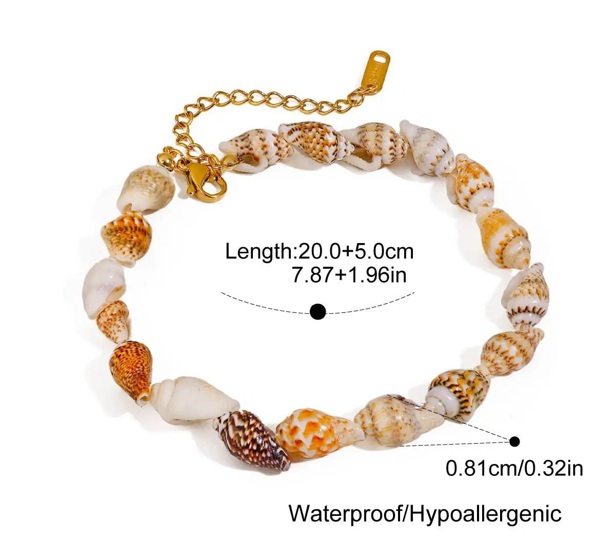 Shell Anklet