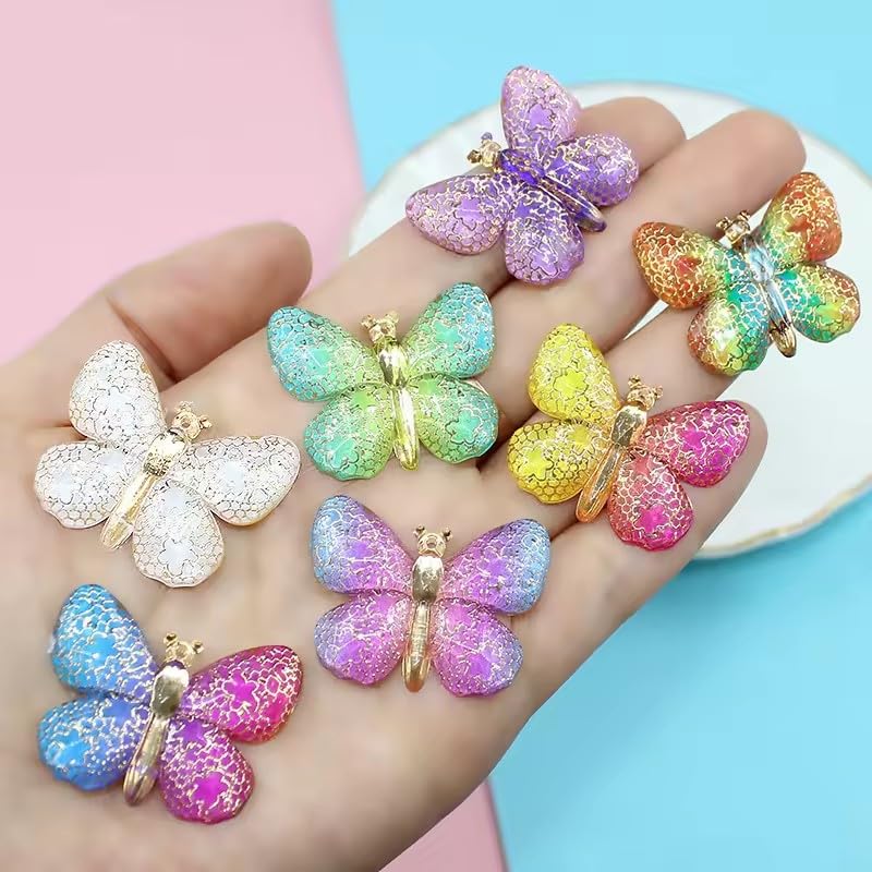 Dual Shade Butterfly Clips ( Any 5 pair )