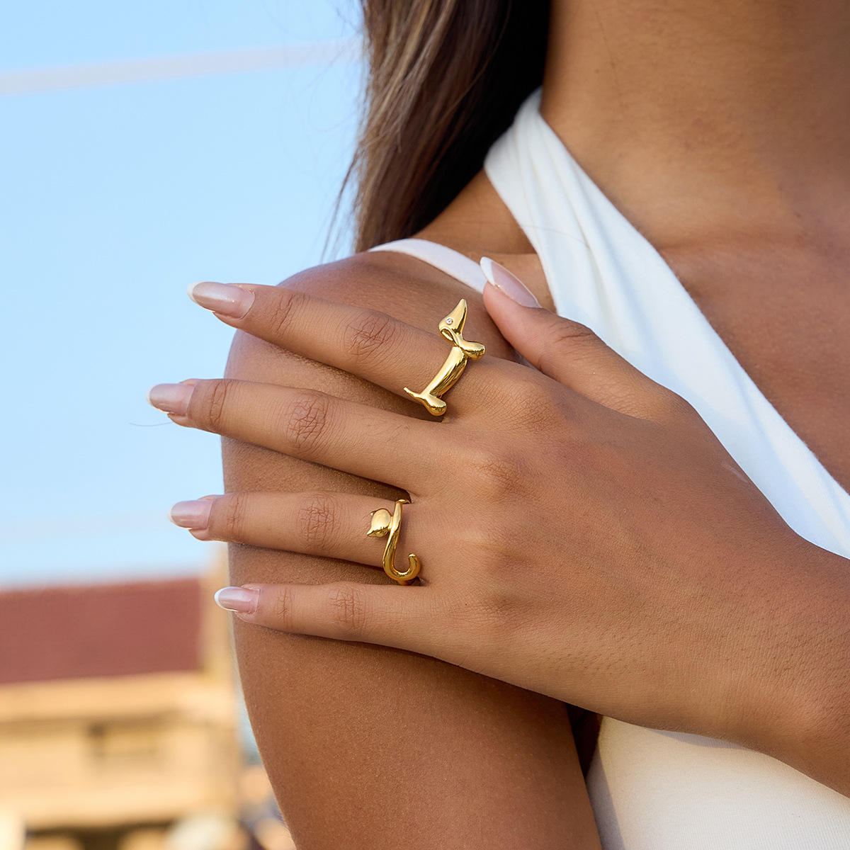 1 Dog Ring